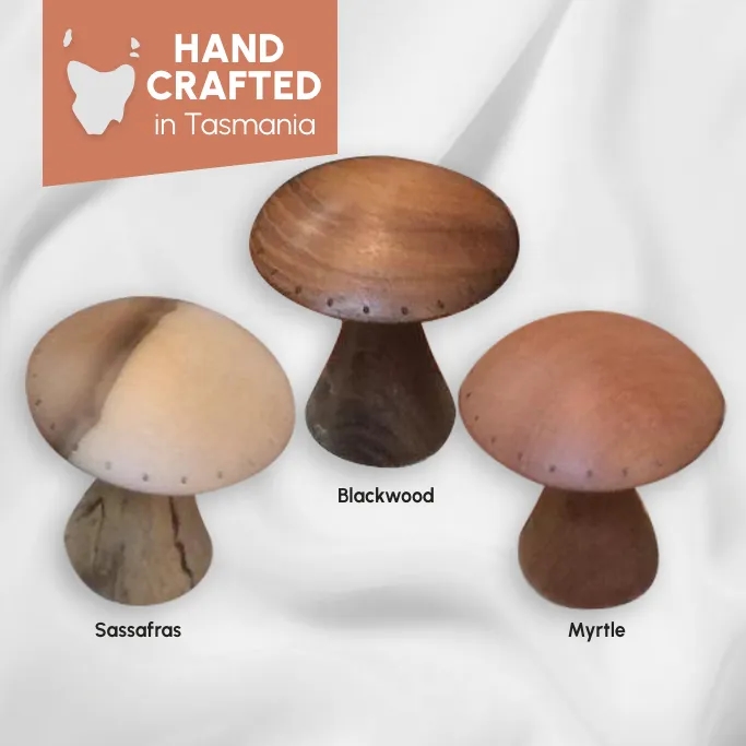 https://res.cloudinary.com/media-marketing-group/image/upload/v1774236310/Shop%20Tasmania/eCommerce%20Clients/gnfaure/1_GNFaure_Tasmanian_Timber_Mushroom_Earring_Stand_Hero_glhga4.webp