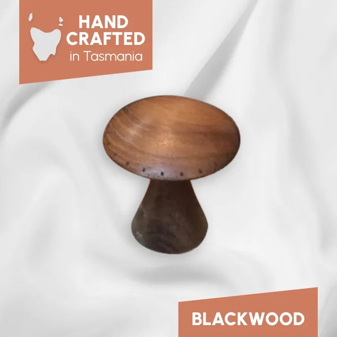 https://res.cloudinary.com/media-marketing-group/image/upload/v1774236316/Shop%20Tasmania/eCommerce%20Clients/gnfaure/2_GNFaure_Tasmanian_Timber_Mushroom_Earring_Stand_Blackwood_Variant_Image_mtb2on.webp